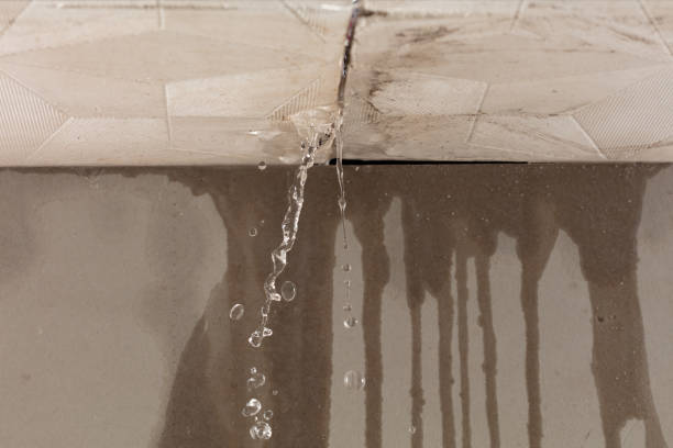 Professional Water Damage Repair technician working in Langlois, OR